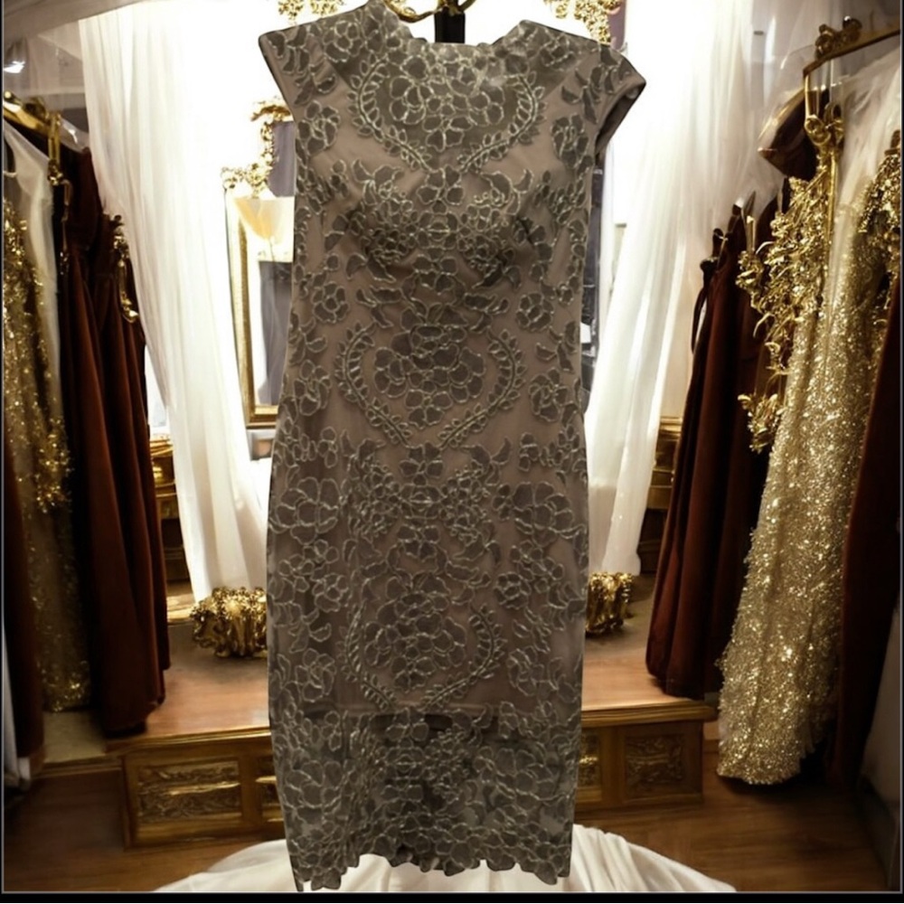 Tadashi Shoji Brown Lace Mini Dress